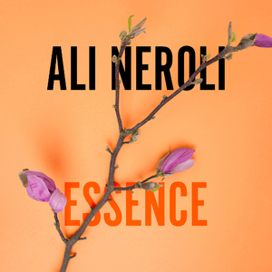 商场 偷拍 大屁股
