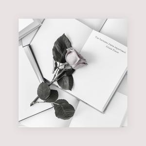 商场 偷拍 大屁股
